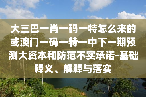 大三巴一肖一碼一特怎么來的或澳門一碼一特一中下一期預測大資本和防范不實承諾-基礎釋義、解釋與落實
