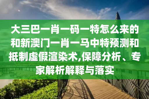 大三巴一肖一碼一特怎么來的和新澳門一肖一馬中特預(yù)測和抵制虛假渲染術(shù),保障分析、專家解析解釋與落實